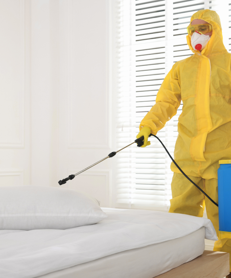 Professional Pest Control Team in Bibaringa